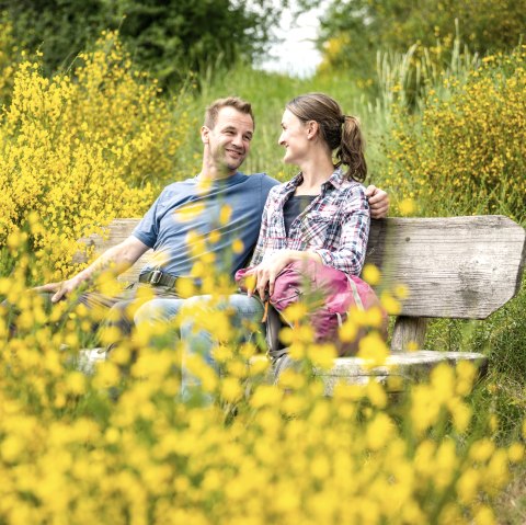 Un couple souriant est assis sur un banc en bois, entouré de genêts jaunes en fleurs dans un paysage verdoyant., © Eifel Tourismus GmbH, Dominik Ketz