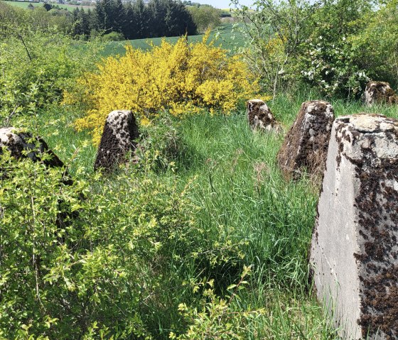Wanderweg Islek, © TI Islek