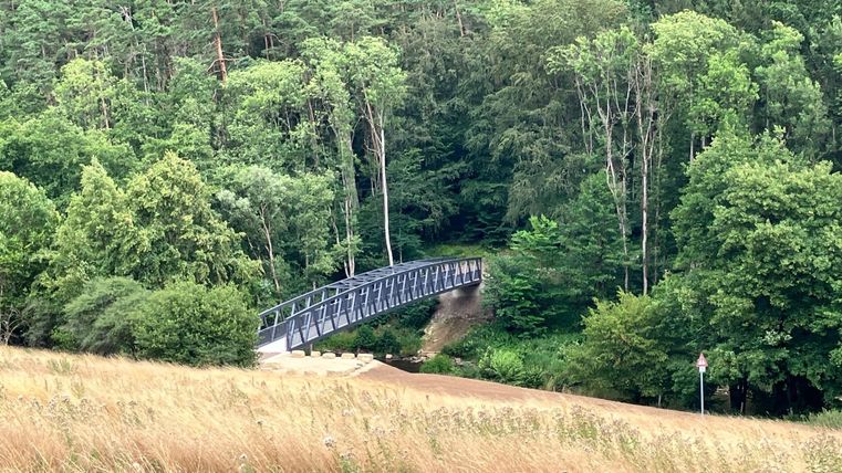 Eine moderne Brücke führt über einen kleinen Bach in einem grünen Waldgebiet. Der Ort ist von dichten Bäume und hochwachsendem Gras umgeben.