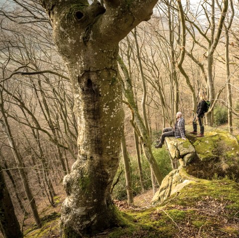 Ruige rotsen, © Eifel Tourismus GmbH, D. Ketz