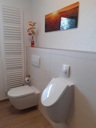 Een moderne badkamer met een hangend toilet en een elegant wastafel. Aan de muur hangt een schilderij van een zonsondergang, en er is een handdoekradiator.