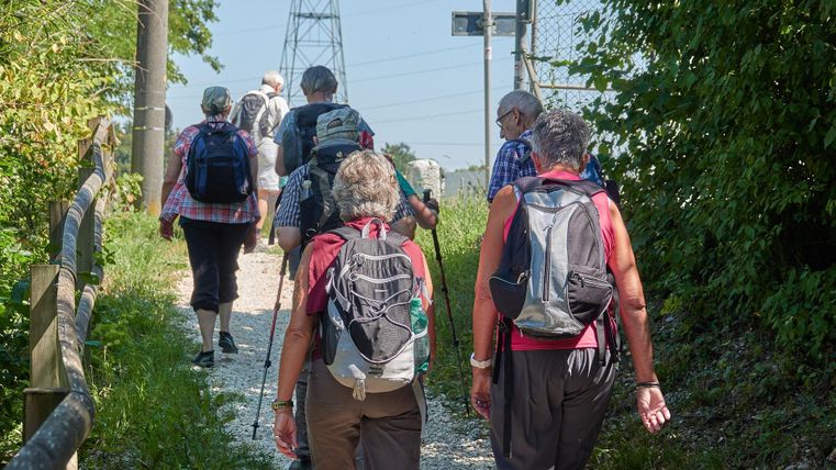 A group of hikers is walking along a narrow path. The surroundings are green and sunny, with a clear view of the path.