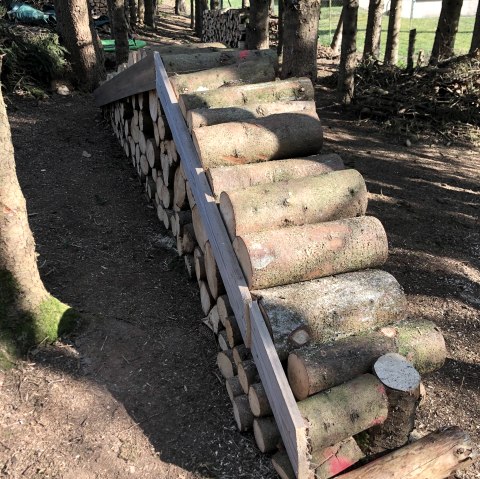 Hundespielplatz Bitburg - Impressionen 2, © Irene Weber