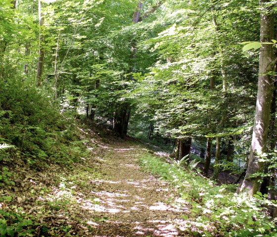 Ein schmaler Waldweg im Stadtwald "Hahn" in Kyllburg, umgeben von dichtem, grünem Laub. Sonnenlicht fällt durch die Bäume und beleuchtet den Pfad., © TI Bitburger Land_M.Mayer
