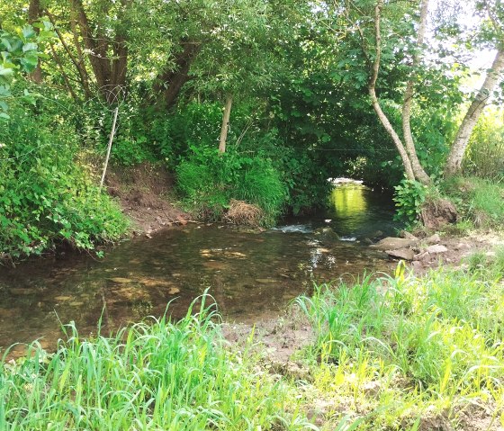 FeWo H&uuml;hn Au&szlig;enansicht(c)TIBitMeS (4)