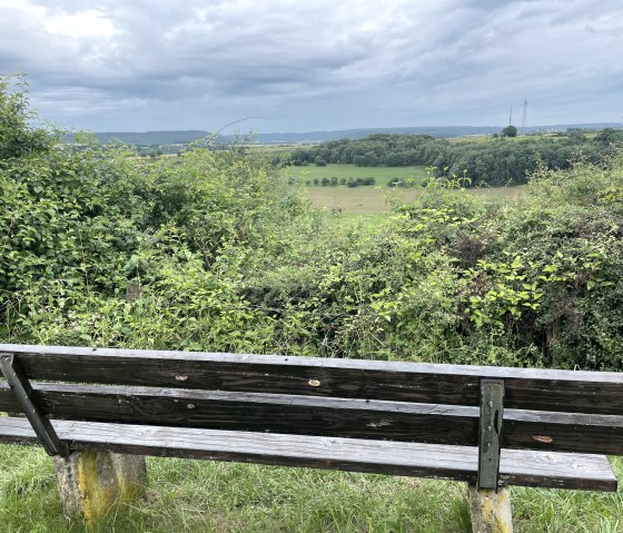 Houten bank met uitzicht op een groen landschap en een bewolkte lucht. Op de achtergrond zijn velden en bomen te zien., © Daniel Köhler