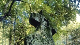 Fraubillenkreuz, &copy; Felsenland S&uuml;deifel Tourismus GmbH / Anna Carina Krebs