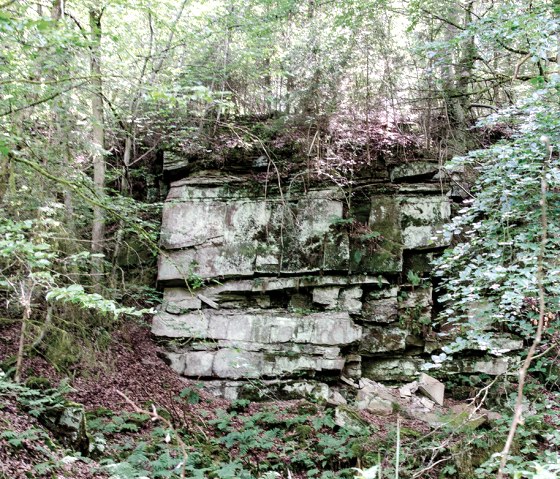 Ein Buntsandsteinfelsen im Wald, umgeben von dichtem Grün und Bäumen. Die Felsen sind von Moos und Pflanzen bewachsen., © TI Bitburger Land