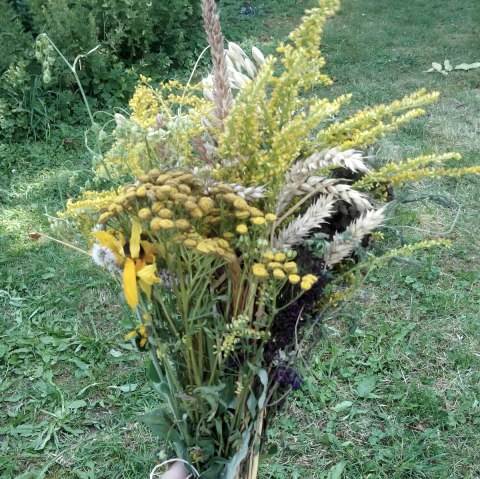 Krautwisch, &copy; Melanie Salzburger