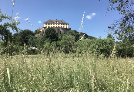 Schloss Malberg, © TI Bitburger Land