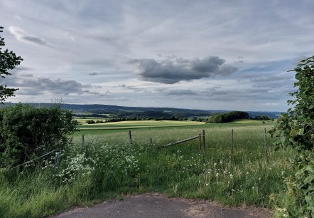 View of the eastern limestone hollow Büdesheim, © Tourist-Information Prümer Land Elke Dahm
