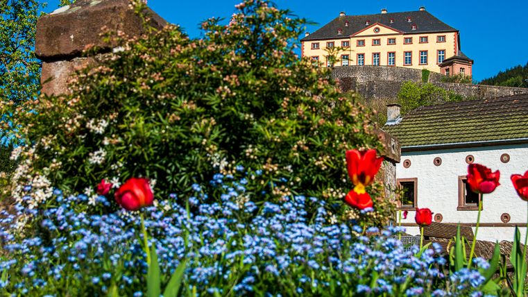 Blick auf Schloss Malberg und das Hopfenhaus mit Blumen im Vordergrund.