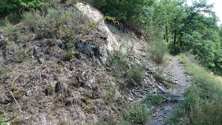 Ein schmaler Pfad führt an einem Hang mit Schiefersteinen und Gras vorbei, umgeben von Bäumen.