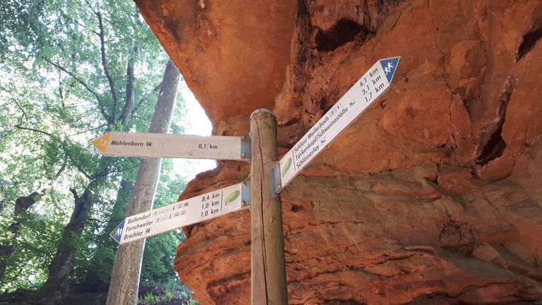 Ein Wegweiser aus Holz mit mehreren Richtungspfeilen steht vor einer Felswand. Die Umgebung ist grün mit Bäumen im Hintergrund.