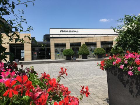 Ein modernes Gebäude mit großen Fenstern und einem klaren blauen Himmel. Im Vordergrund blühende Blumen in verschiedenen Farben.