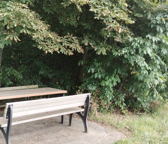 Une aire de repos avec une table en bois et des bancs sous des arbres ombragés, entourée d'une végétation dense. Idéal pour une pause en pleine nature., © TI Bitburger Land