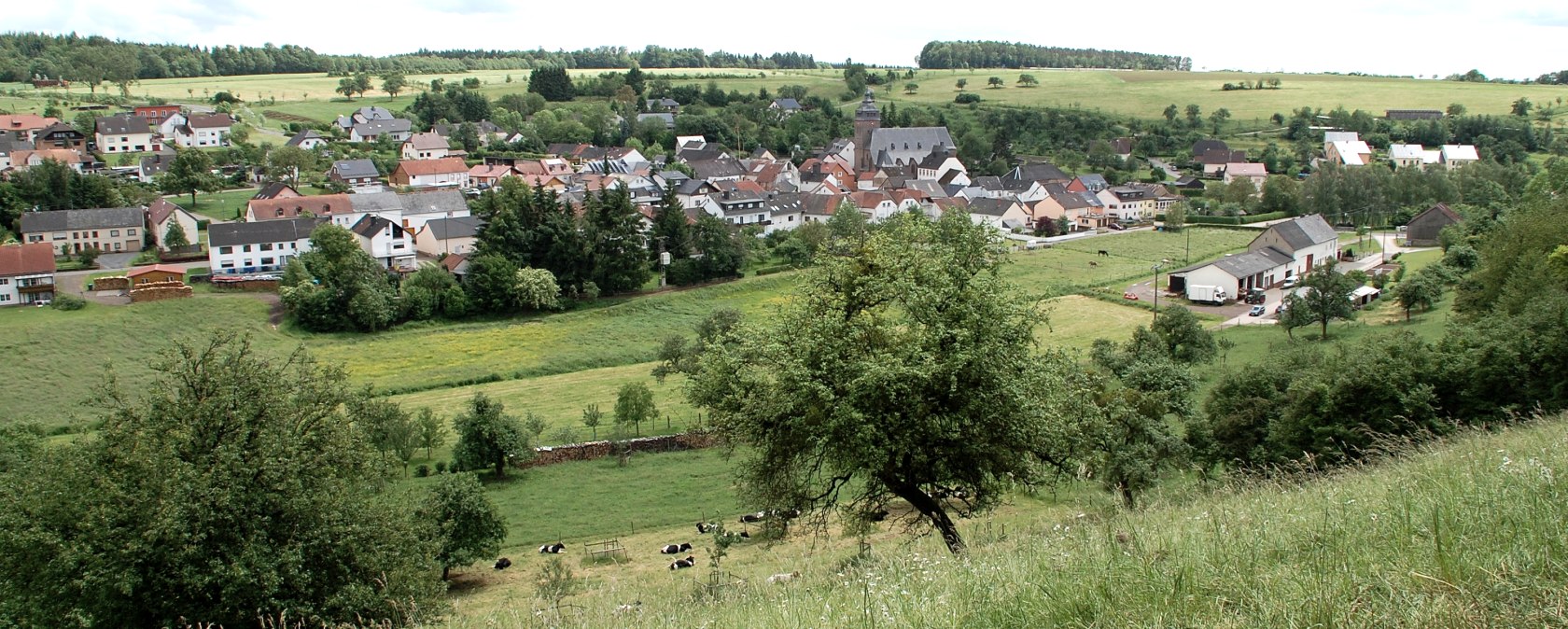 Gezicht op Gransdorf: groene weiden en bomen op de voorgrond, het dorp met huizen en een kerk op de achtergrond, omgeven door velden., © Doris Pauels