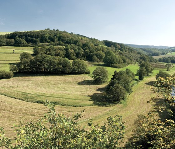 Devon Trail, Eifellandschap, © Naturpark Südeifel, Pierre Haas