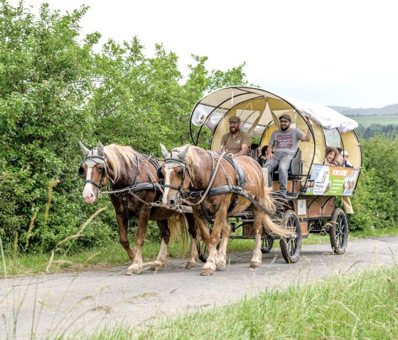 Planwagenfahrt Nengshof, &copy; Carsten Lenz, Nengshof