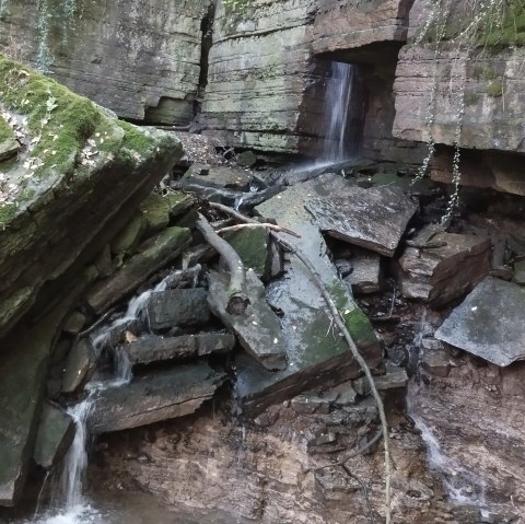 A small waterfall flows over moss-covered rocks in a wooded area. The ground is covered with leaves and branches., © TI Bitburger Land