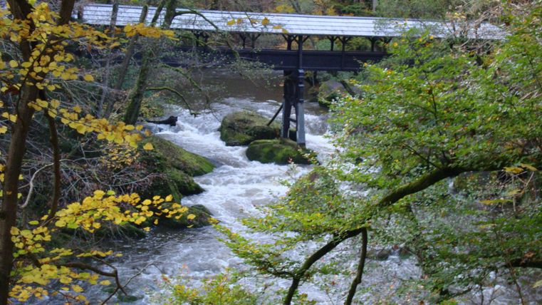 Eine malerische Brücke über einem rauschenden Fluss, umgeben von Bäumen mit buntem Herbstlaub. Die natürliche Umgebung strahlt Ruhe und Schönheit aus.