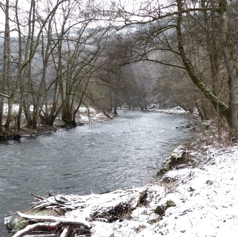 Een besneeuwde rivier met kale bomen op de oevers. Het pad langs de rivier is ook bedekt met sneeuw., &copy; Eifelverein Ortsgruppe Speicher