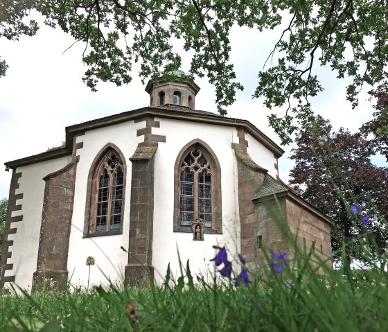 Die Frohnertkapelle mit gotischen Fenstern, umgeben von Bäumen und Blumen im Vordergrund, aufgenommen aus einer niedrigen Perspektive., © TI Bitburger Land
