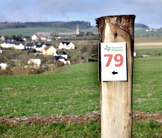 Een houten paal met een wegwijzer voor route nr. 79 van het natuurpark Zuid-Eifel, met een landelijk landschap van huizen en velden op de achtergrond., © TI Bitburger Land
