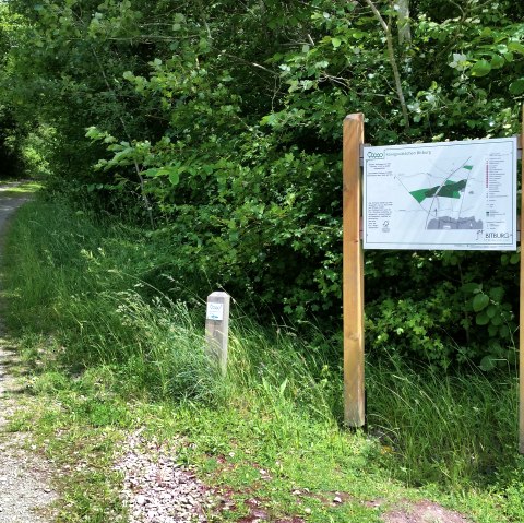 Un chemin forestier ombragé traverse une verdure luxuriante. Sur la droite se trouve un grand panneau d'information avec une carte. Le chemin est bordé d'arbres., © Tourist-Information Bitburger Land
