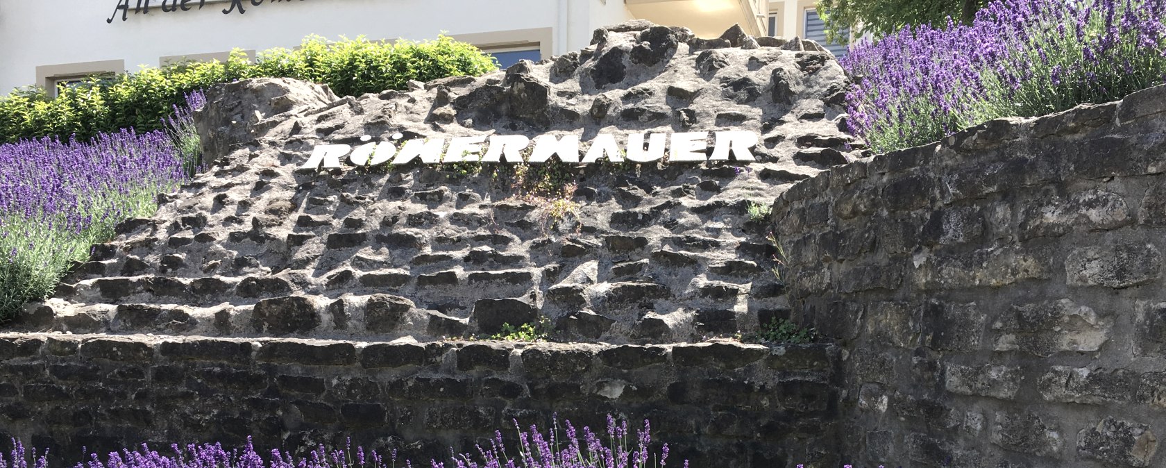 Mur romain avec lavande, © TI Bitburger Land