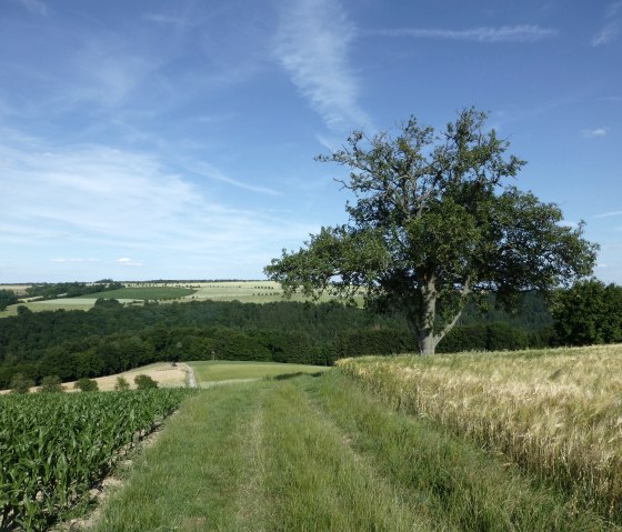 A dream place to picnic and enjoy, © NaturAktivErleben