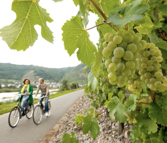 Cyclistes sur la piste cyclable de la Moselle, © Dominik Ketz Fotografie / Rheinland-Pfalz Tourismus GmbH