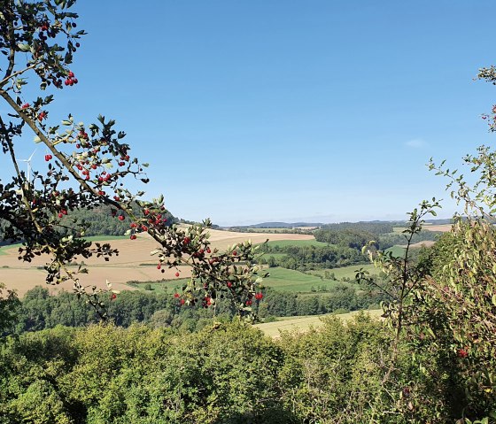 Vue panoramique de la vallée de l'Enz avec des champs verts, des arbres et des baies rouges au premier plan sous un ciel bleu et clair., © TI BItburger Land - Steffi Wagner