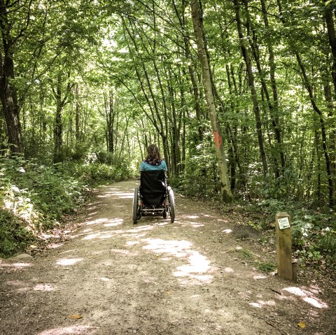 Une personne en fauteuil roulant roule sur un chemin forestier ensoleillé dans le Königswalddchen. Le chemin est bordé d'arbres verts., © TI Bitburger Land