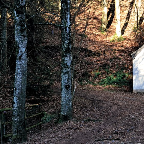 Chapelle blanche dans la forêt, entourée d'arbres et de feuilles d'automne. L'entrée est en bois, l'environnement semble calme et isolé., © TI Bitburger Land