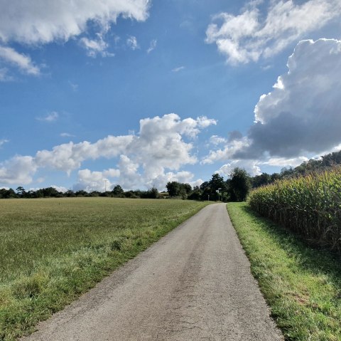 A narrow road leads through green fields, with a cornfield on the right. The sky is blue with white clouds., © TI Bitburger Land