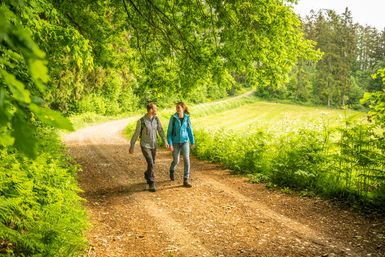 Zwei Wanderer sind auf einem Waldweg unterwegs