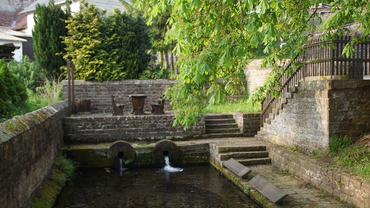 Lavoir historique avec bassin d'eau et murs de pierre, entouré d'arbres et de végétation.