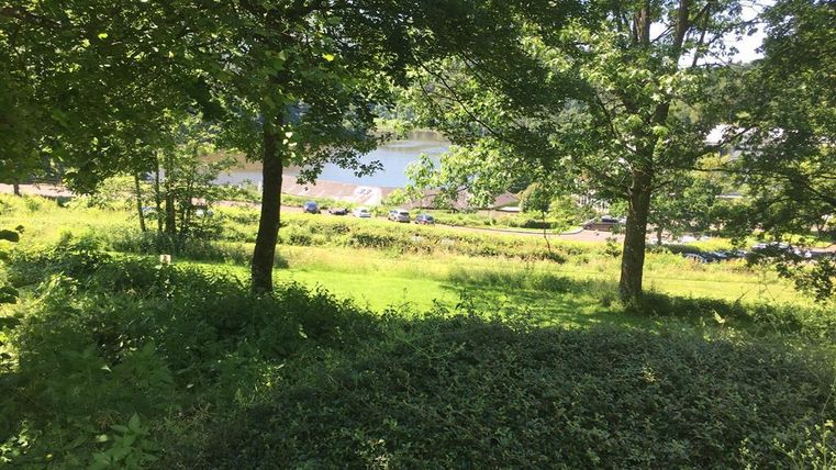 Eine grüne Landschaft mit Bäumen und grasbewachsenem Boden. Im Hintergrund ist ein ruhiger See und eine Straße sichtbar.