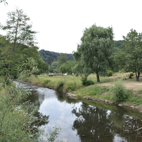 Une petite rivière coule à travers un paysage verdoyant d'arbres et de prairies à Wißmannsdorf., © TI Bitburger Land