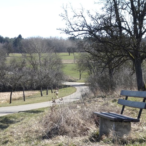 A bench stands at the edge of the path with a view of a rural landscape. A winding path leads through fields and trees., © Eifelverein Ortsgruppe Speicher