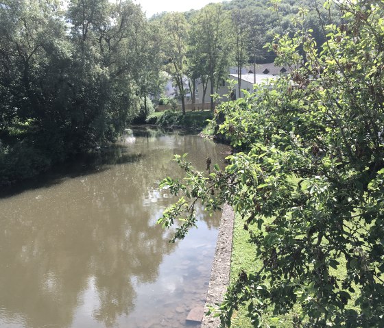 Ein ruhiger Fluss, umgeben von üppigem Grün und Bäumen, fließt durch eine ländliche Gegend. Im Hintergrund sind Gebäude zu sehen., © TI Bitburger Land
