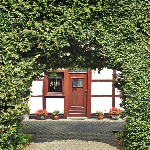 Hedges in the northern Eifel