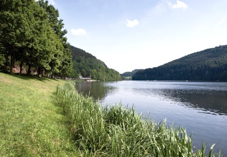 Stausee Ufer, &copy; Tourist-Information Bitburger Land