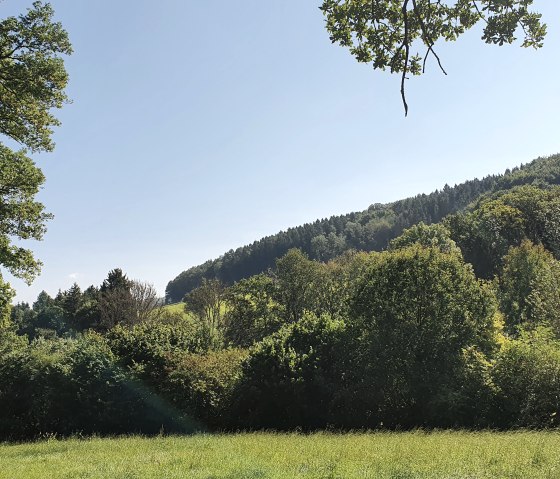 Grüne Wiese mit üppigen Bäumen und bewaldeten Hügeln im Hintergrund unter einem klaren blauen Himmel., © Tourist-Information Bitburger Land