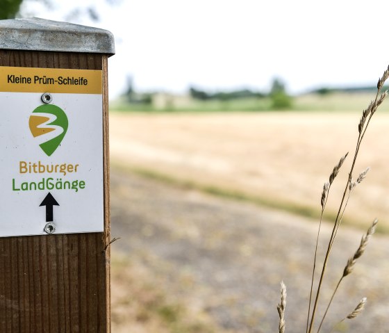 Bitburger LandGänge wegwijzer met het opschrift 'Kleine Prüm-Schleife' voor een veld in een landelijke omgeving., © TI Bitburger Land
