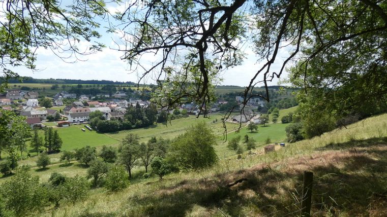 View of the village of Gransdorf with meadows and trees in the foreground.
