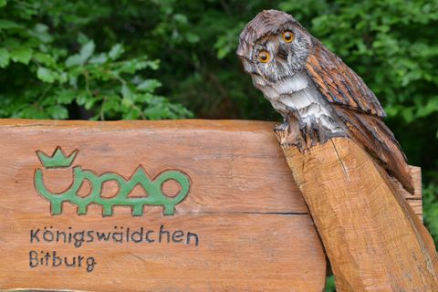 A wooden sculpture of an owl sits on a sign that reads "Königswäldchen" in Bitburg. The sign is surrounded by green trees and radiates a natural atmosphere.