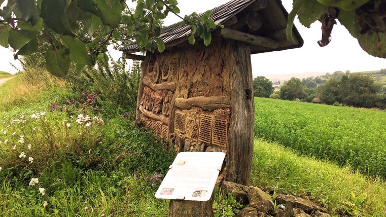 Insektenhotel am Rand eines grünen Feldes mit Infotafel.