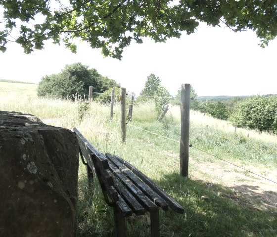 A bench in the shade of a tree, with a large stone next to it. In the background, a green meadow and a fence dividing the landscape., © TI Bitburger Land